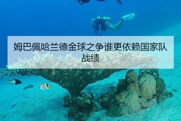 姆巴佩哈兰德金球之争谁更依赖国家队战绩